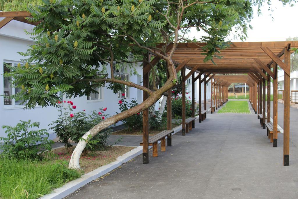 Hanul Piratilor Camping Village ナボダリ エクステリア 写真